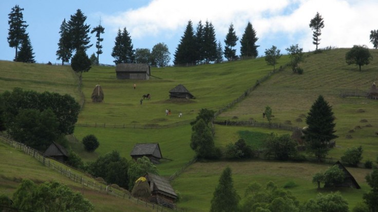 Cum să-ți găsești iubirea vieții - Tabără la Moeciu
