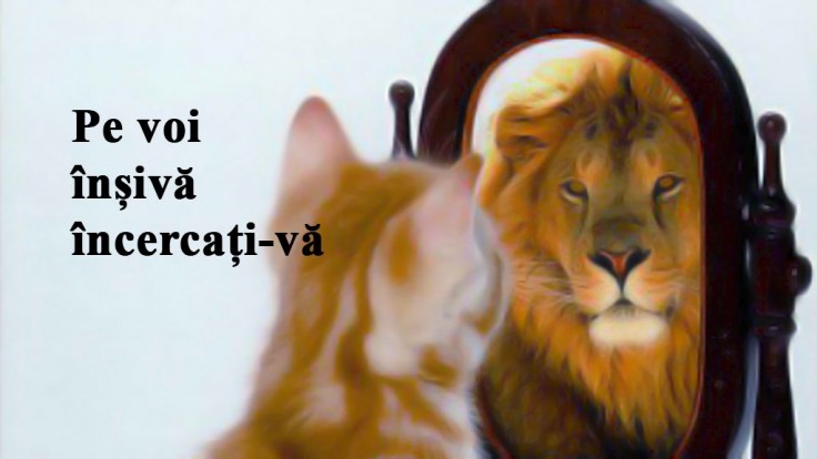 Pe voi înșivă încercați-vă - Vremea cercetării tale